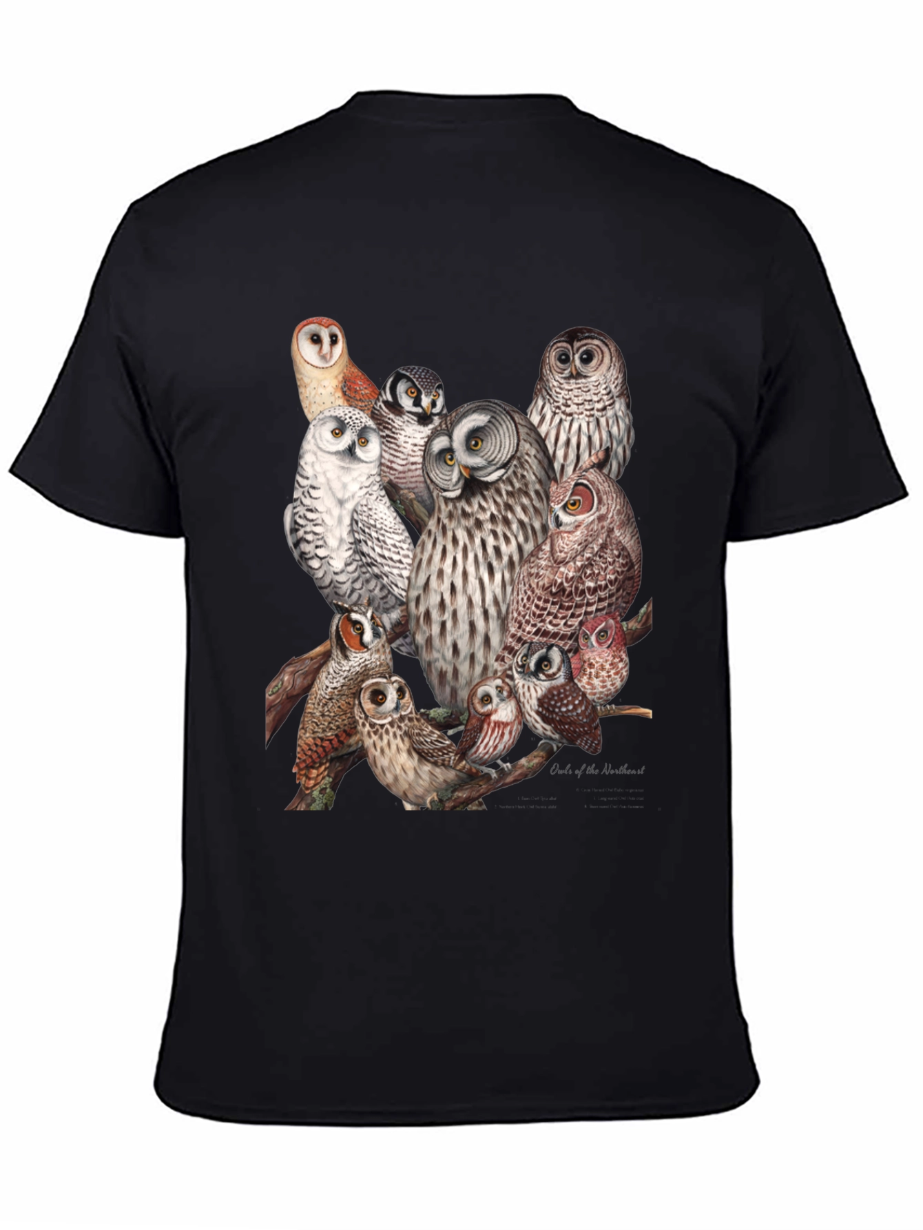 Owl Print Black T-Shirt