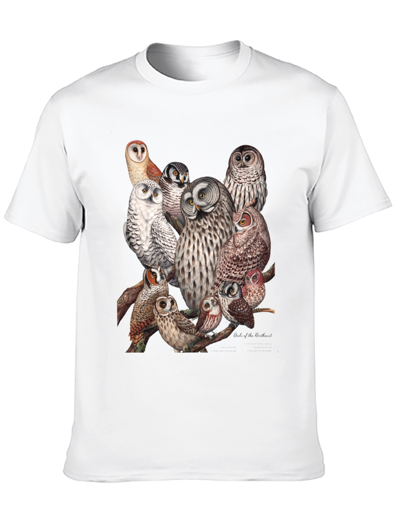 Owl Print Black T-Shirt