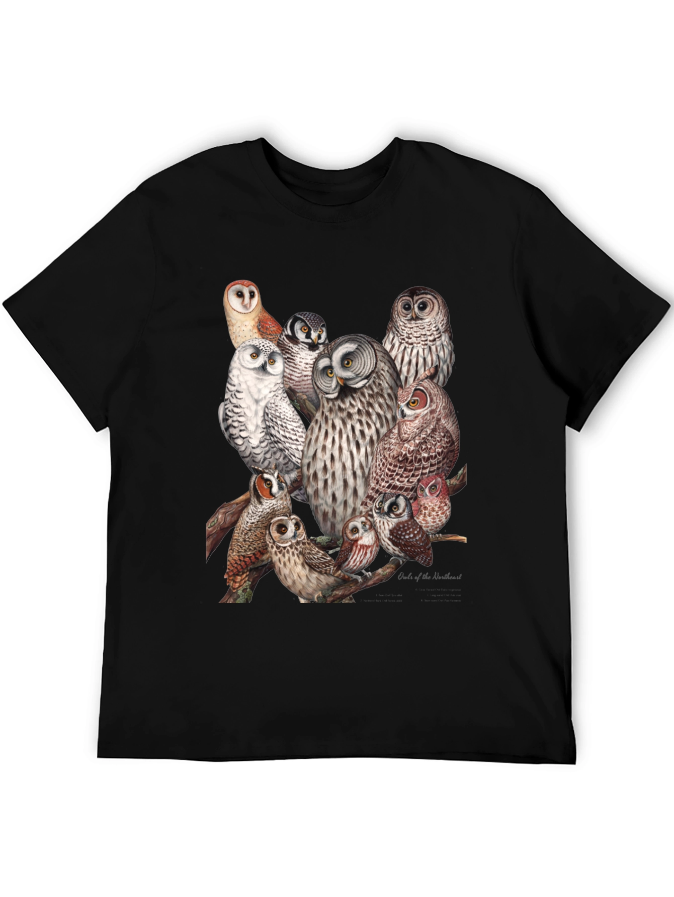 Owl Print Black T-Shirt