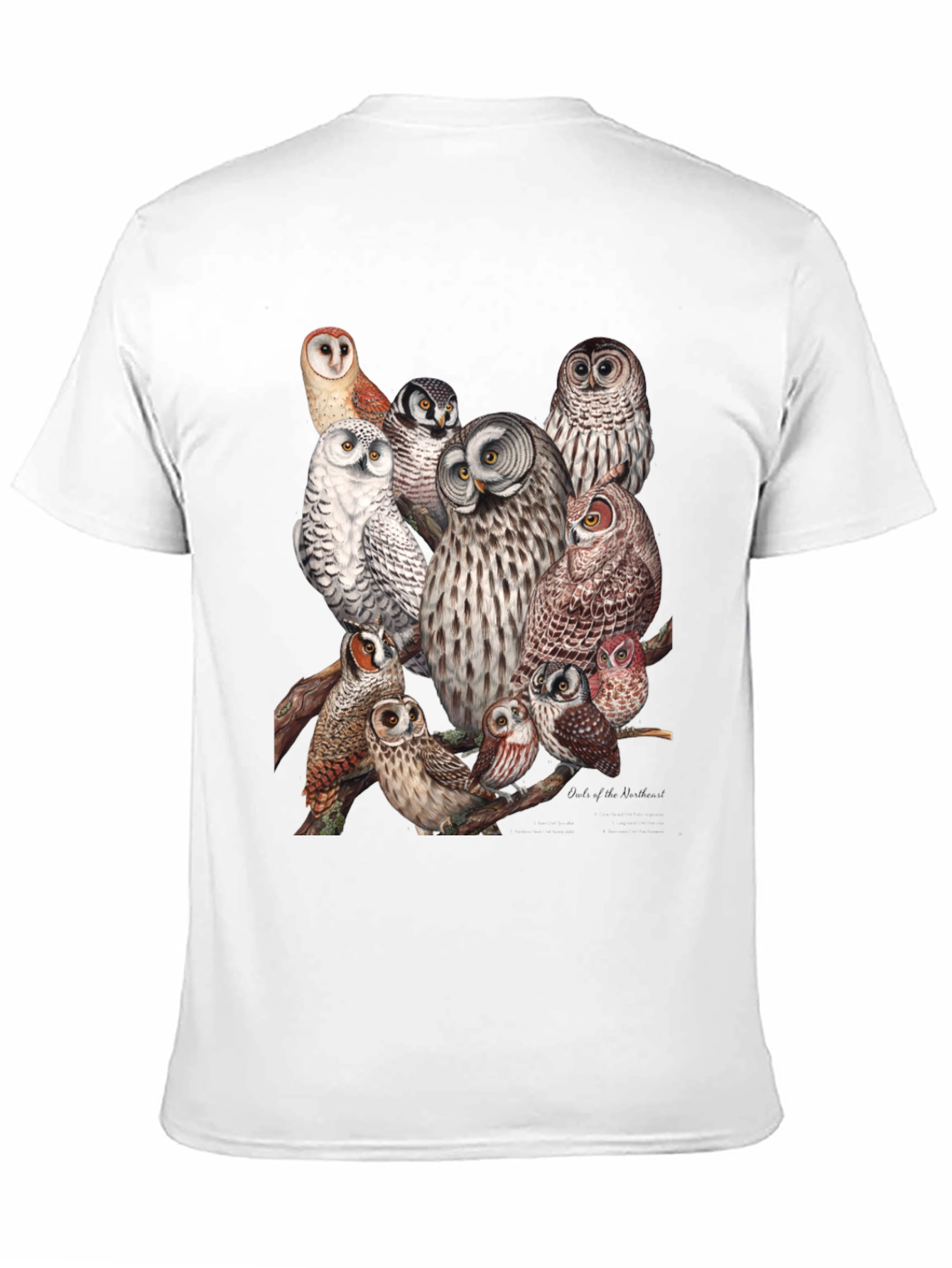 Owl Print Black T-Shirt
