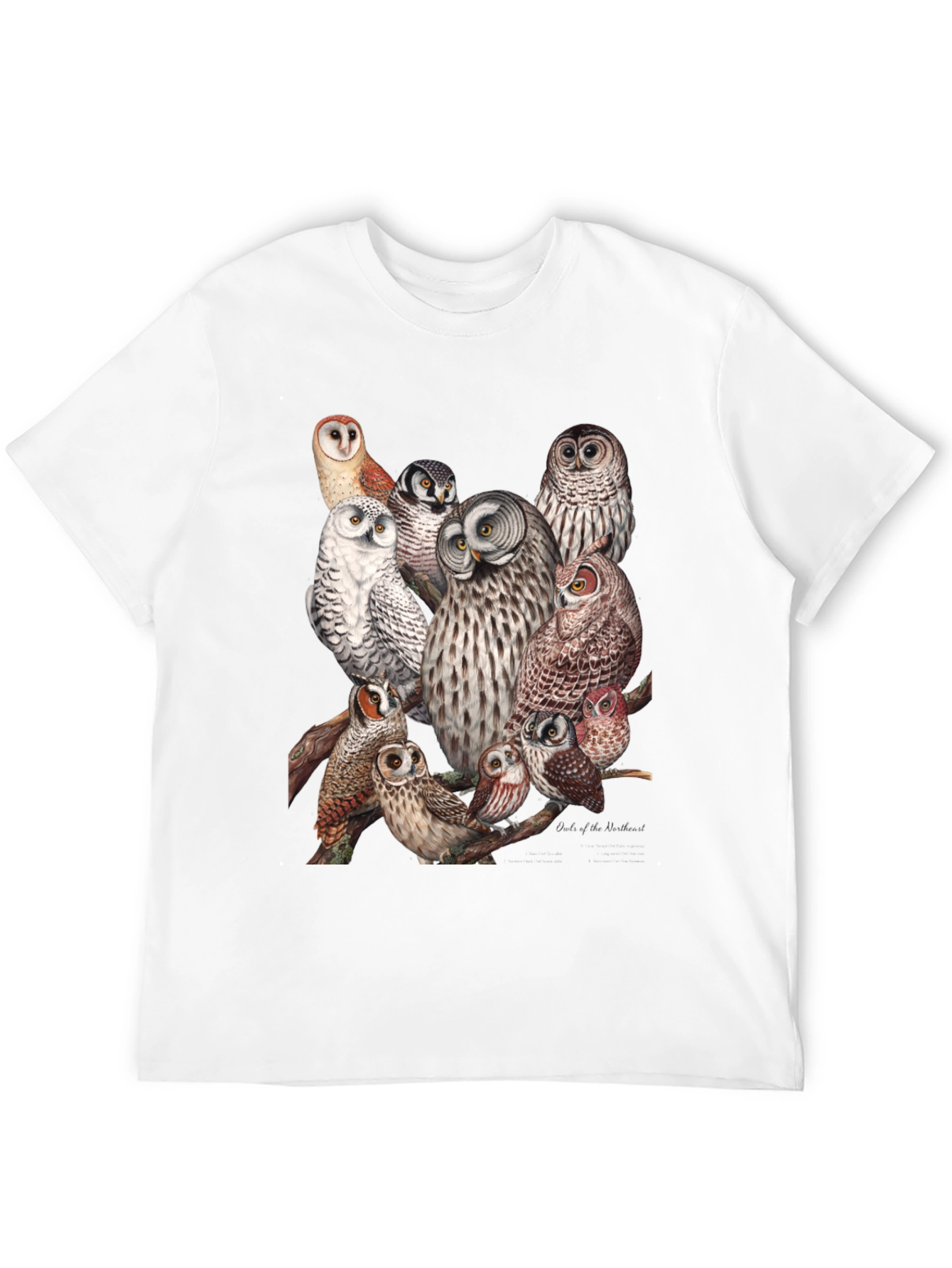 Owl Print Black T-Shirt