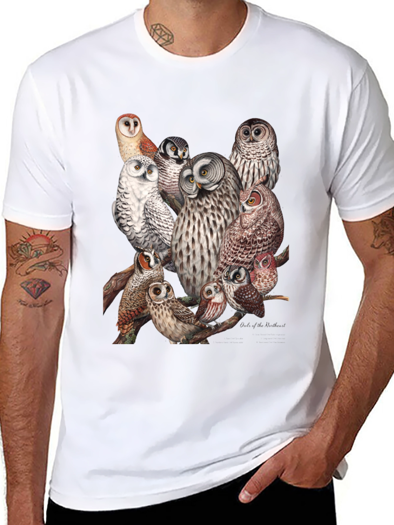 Owl Print Black T-Shirt