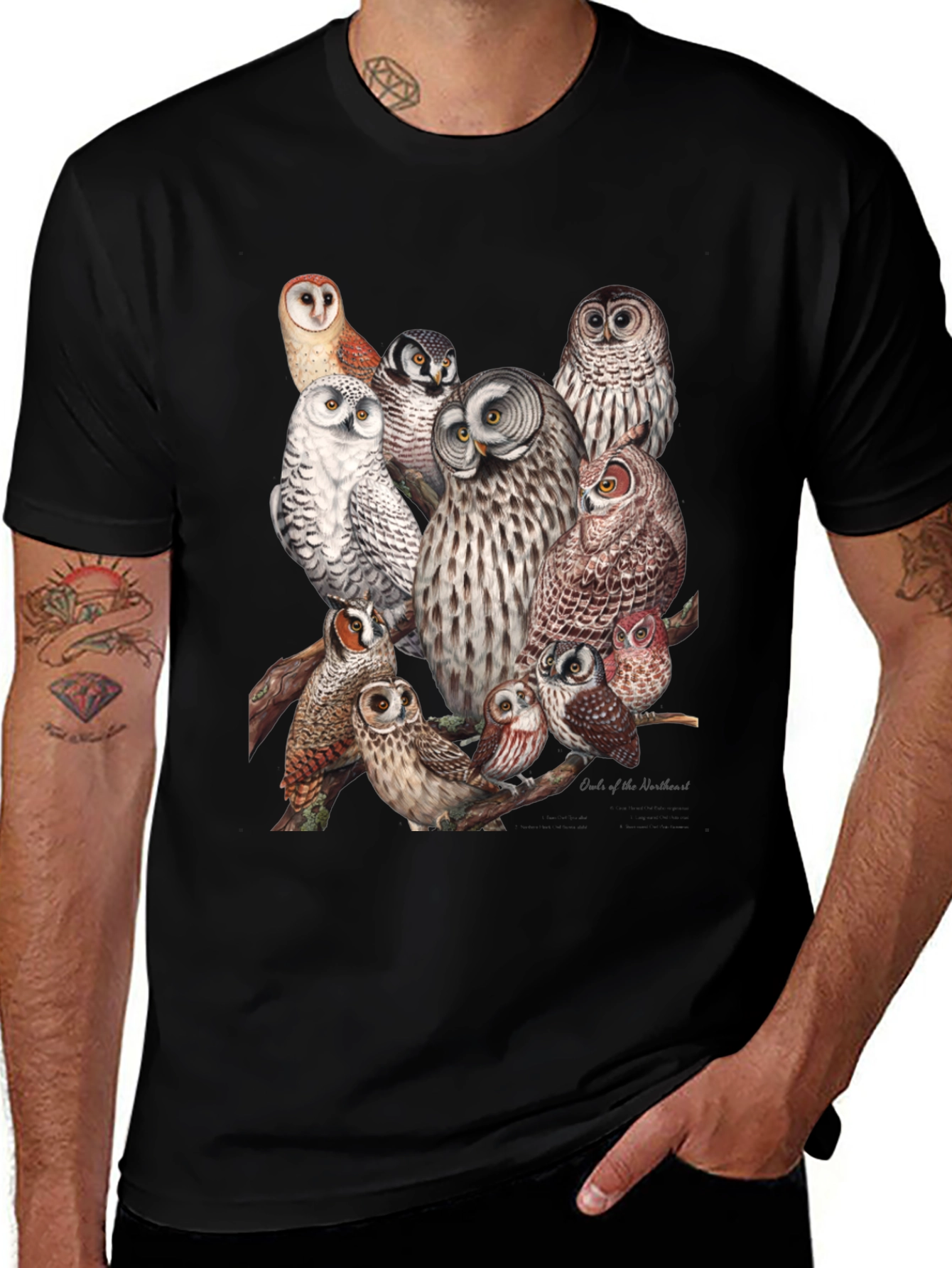 Owl Print Black T-Shirt