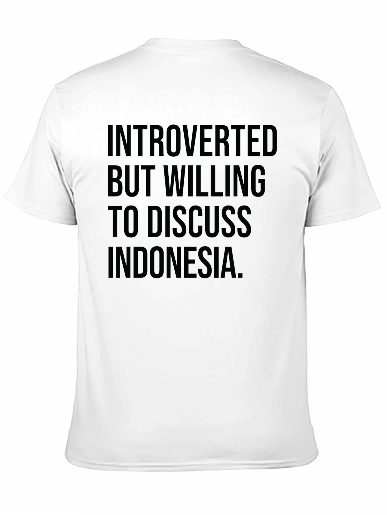 Introverted But Willing to Discuss Indonesia T-Shirt