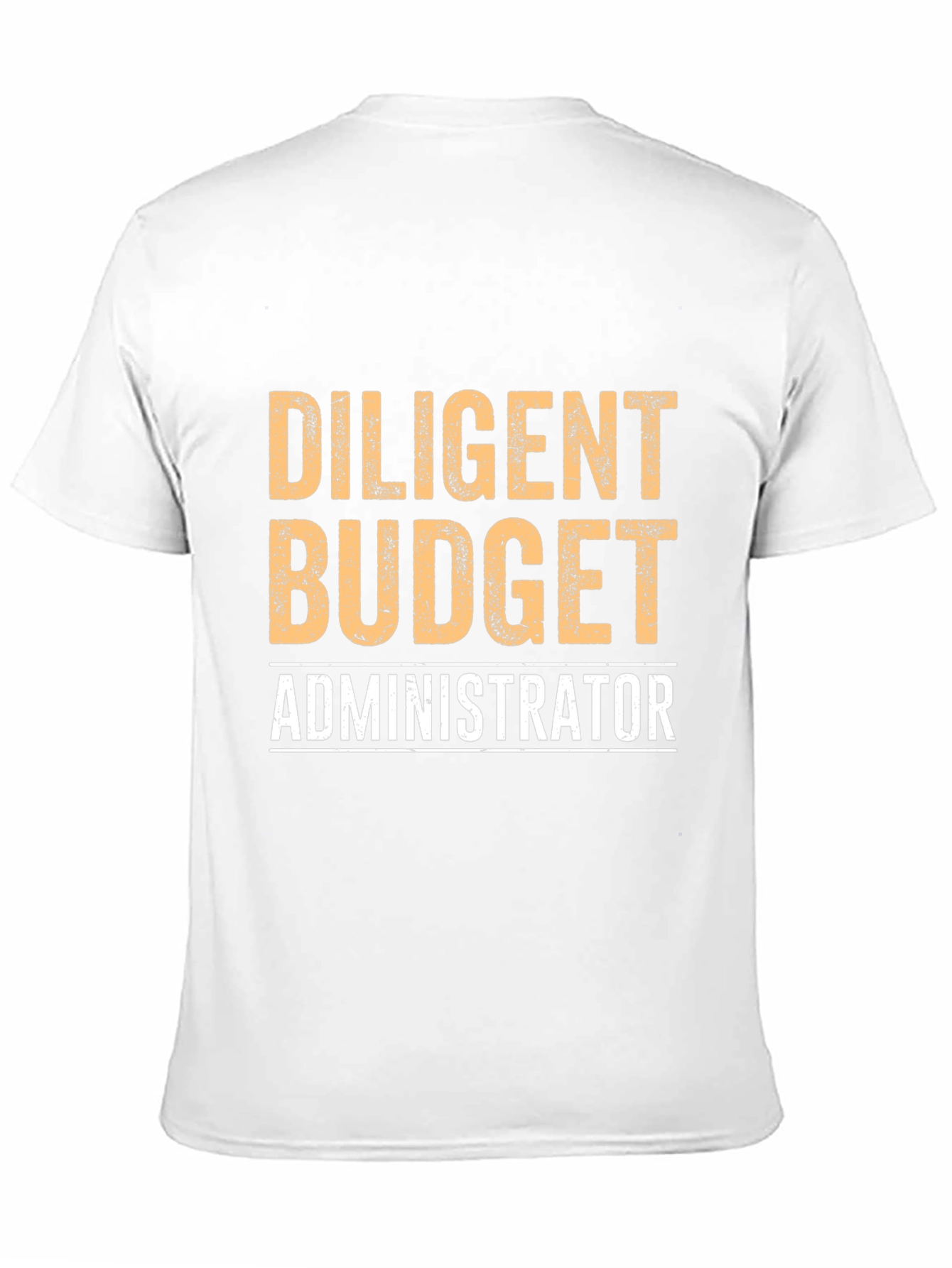 Diligent Budget Administrator Graphic Tee