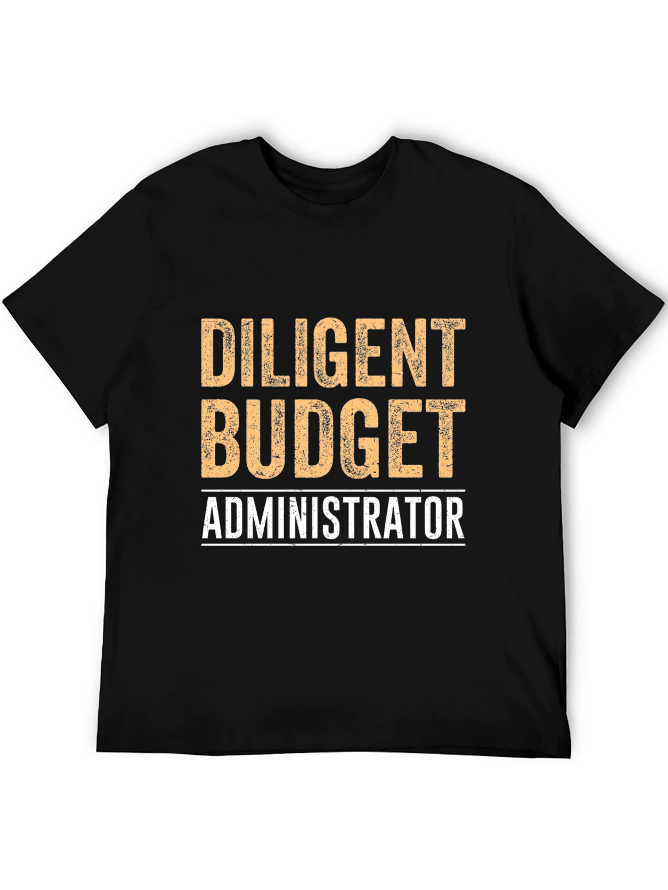 Diligent Budget Administrator Graphic Tee