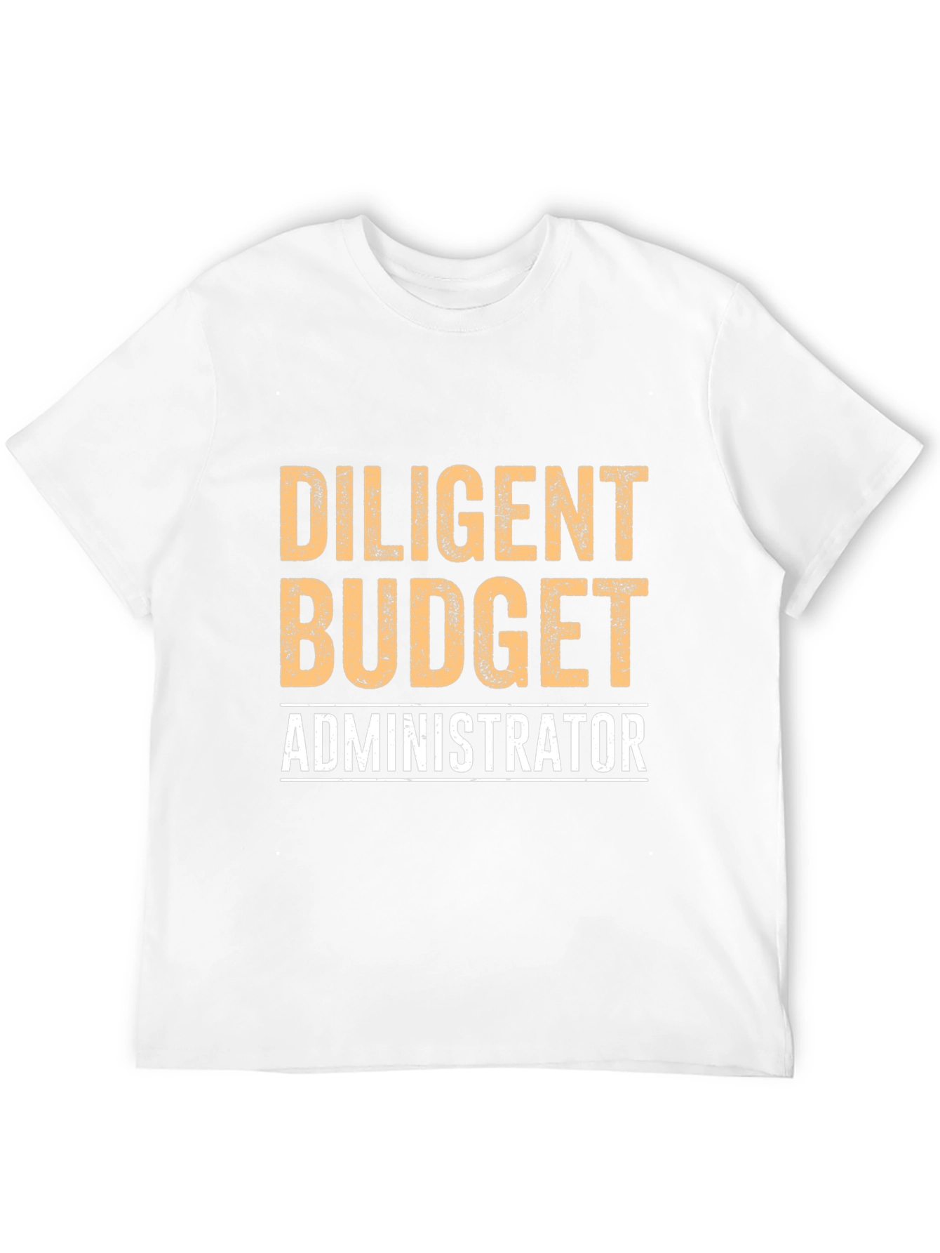Diligent Budget Administrator Graphic Tee