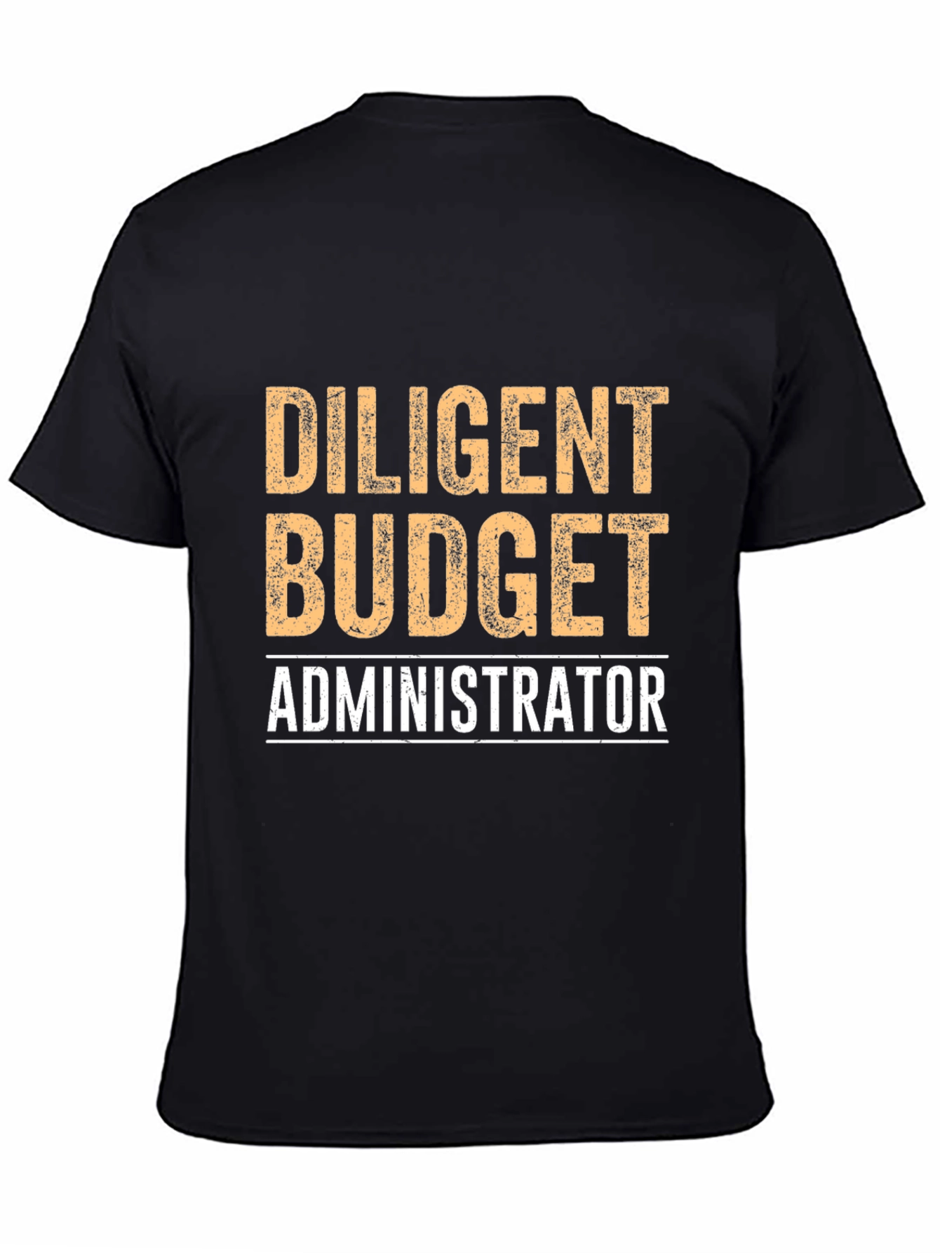 Diligent Budget Administrator Graphic Tee