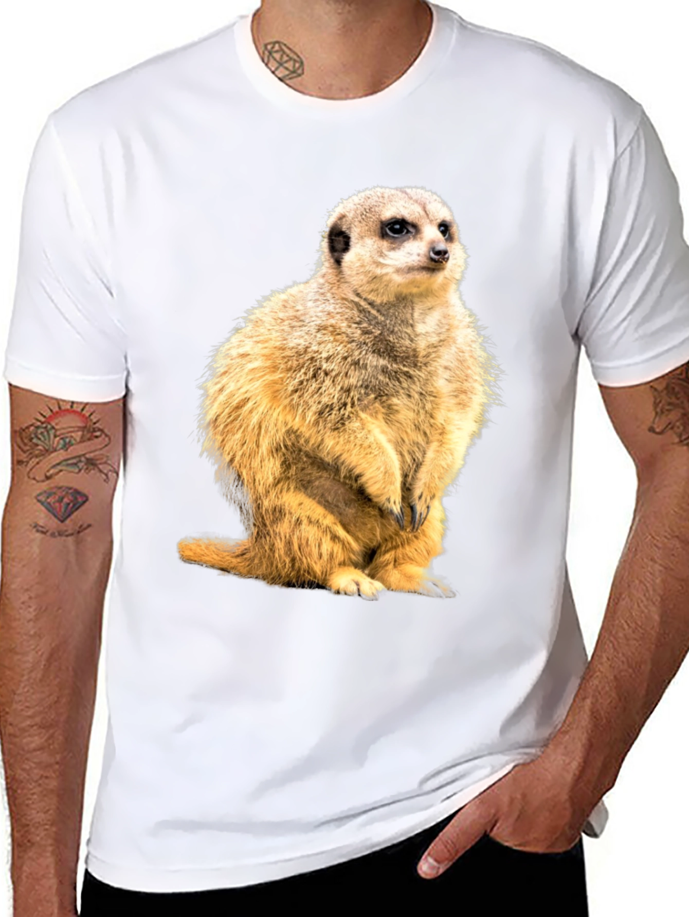 Meerkat Graphic Print Black T-Shirt