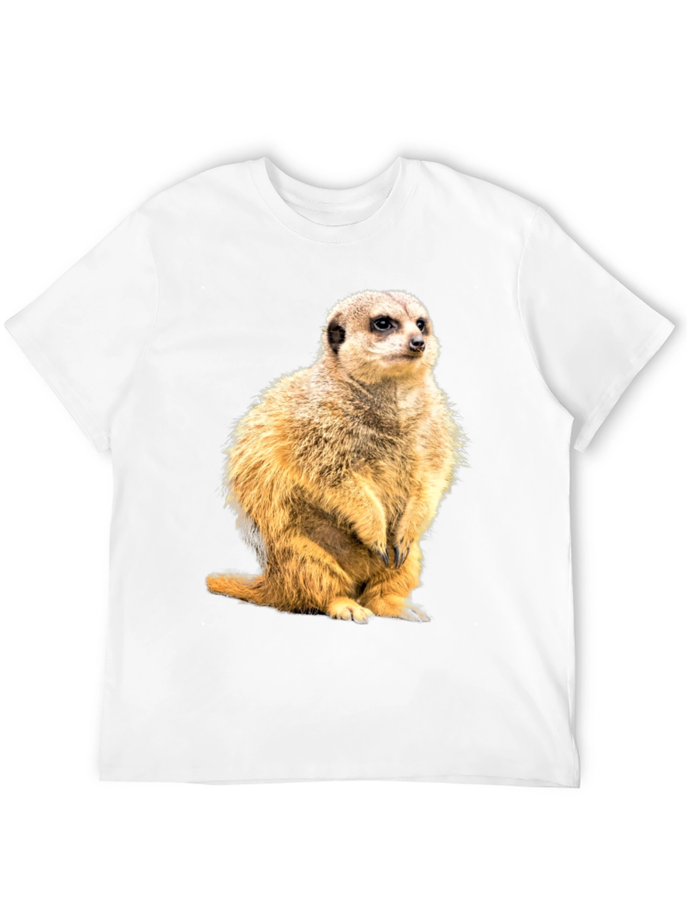 Meerkat Graphic Print Black T-Shirt