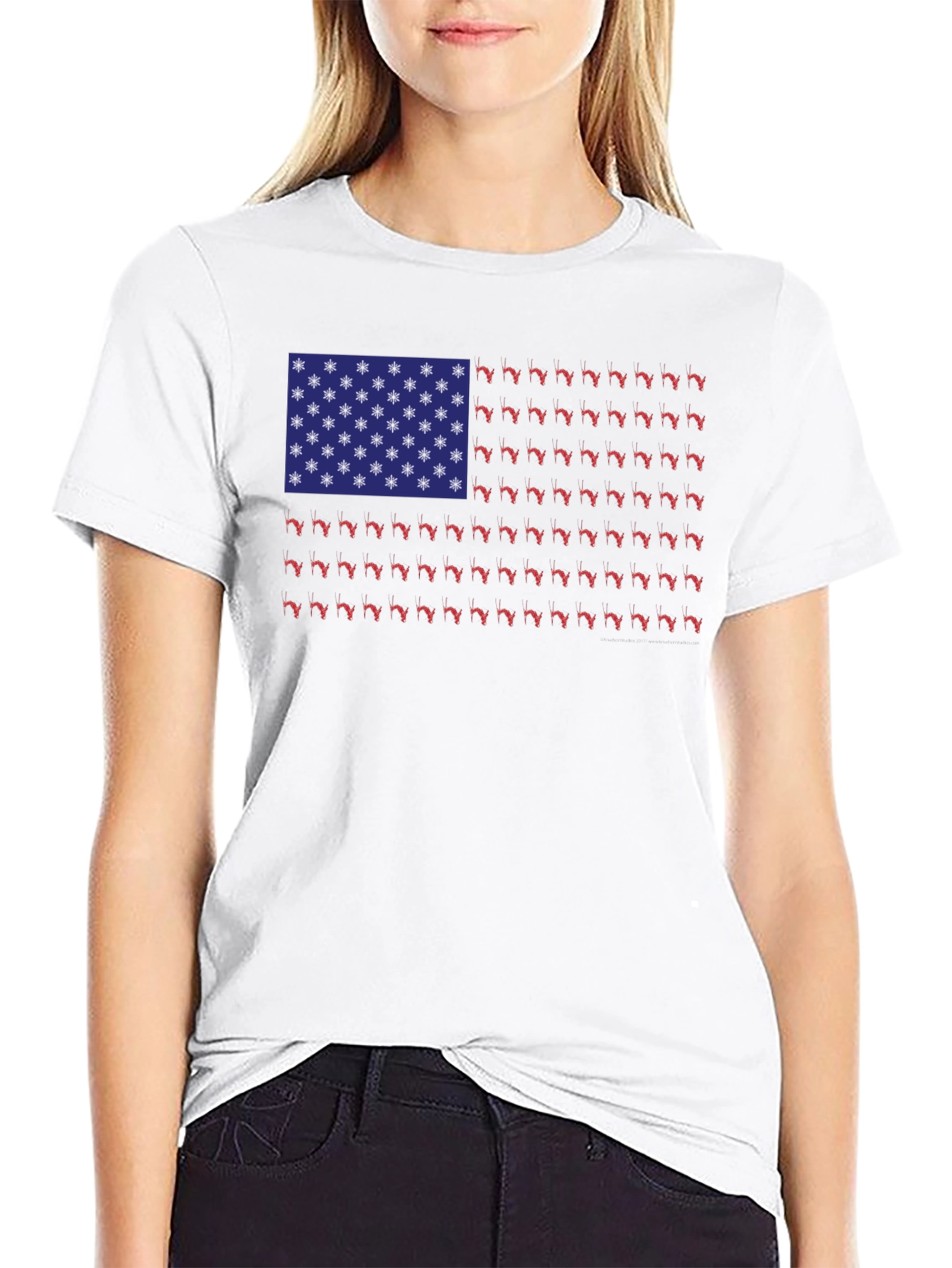 Florida State Flag T-Shirt - Novelty Graphic Tee