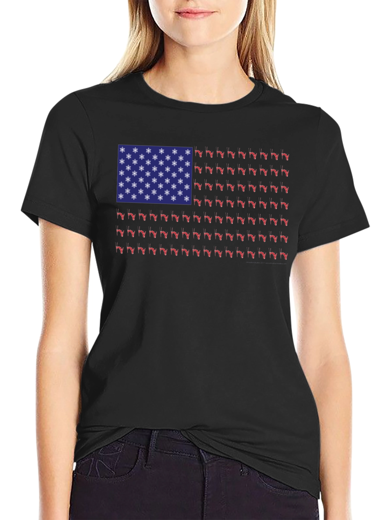 Florida State Flag T-Shirt - Novelty Graphic Tee