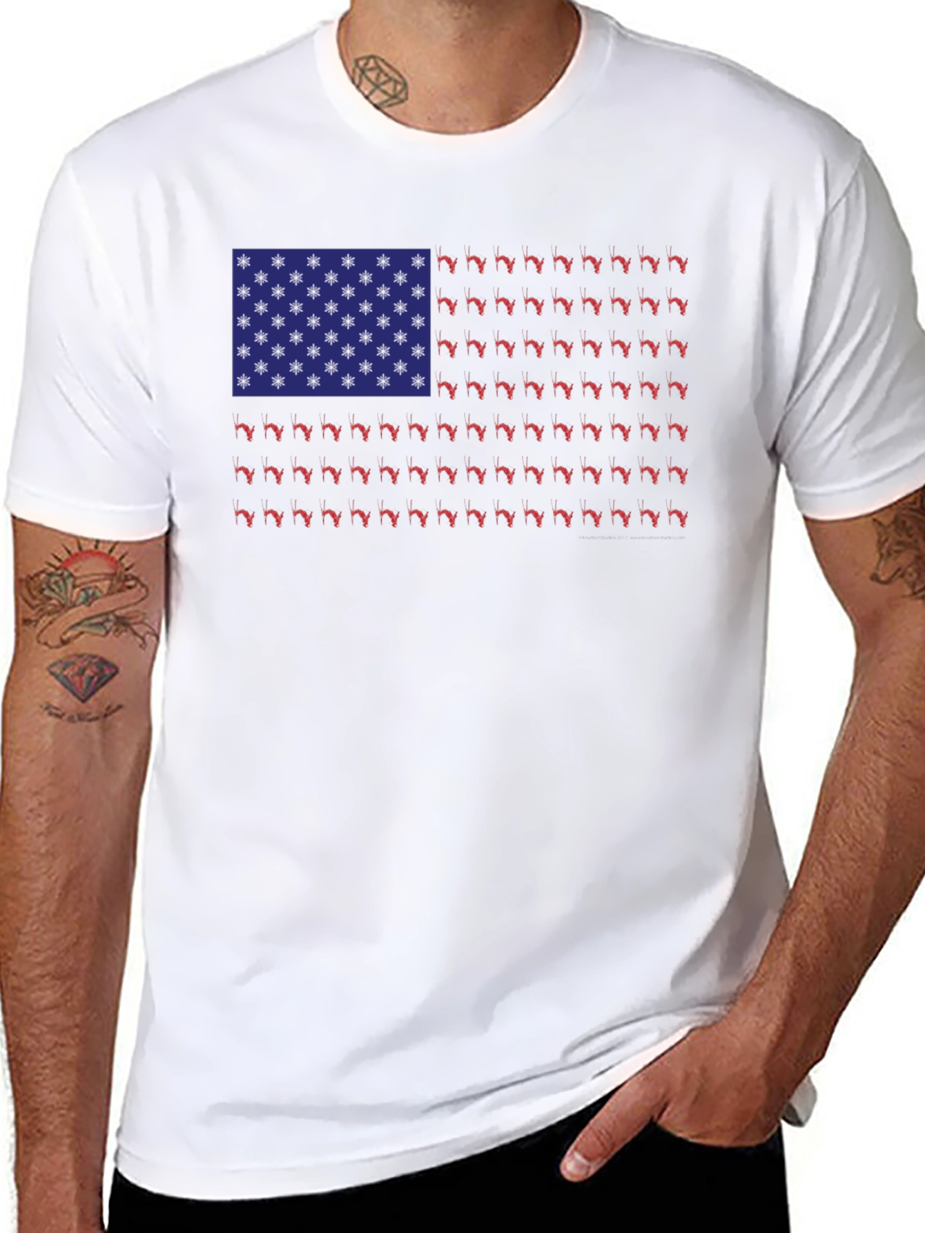 Florida State Flag T-Shirt - Novelty Graphic Tee
