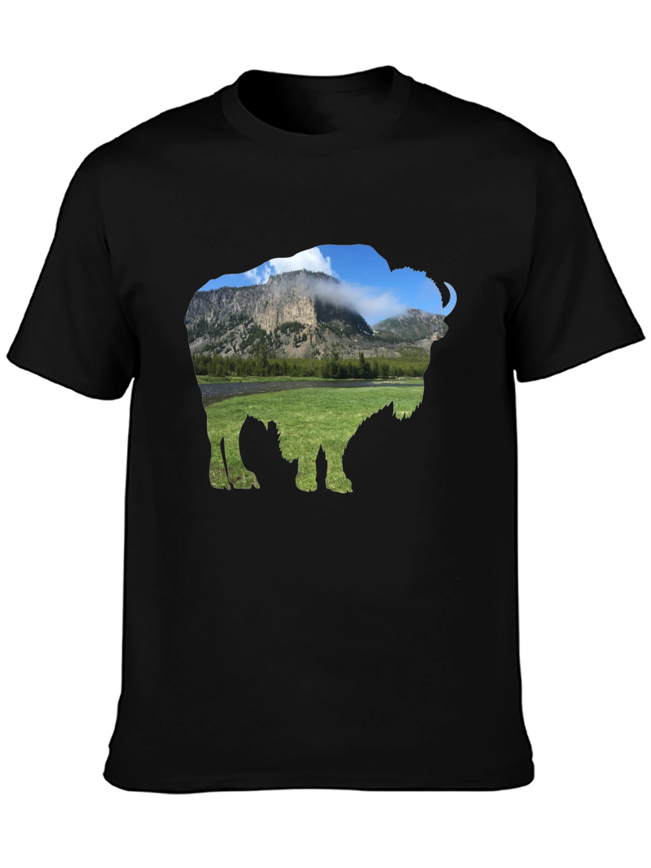 Bison Landscape Graphic Tee