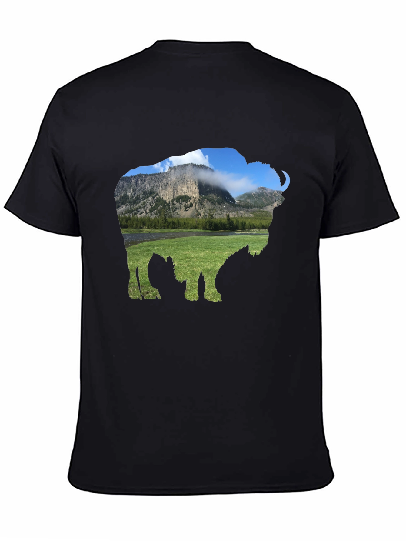 Bison Landscape Graphic Tee
