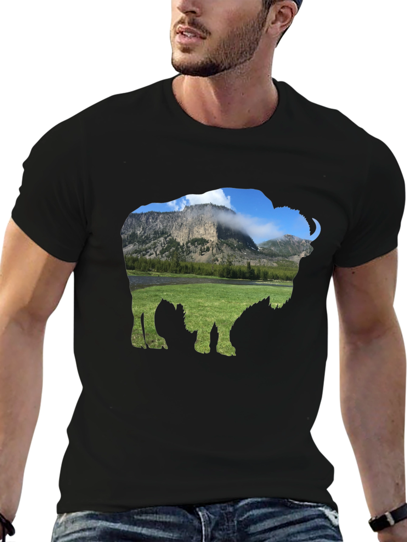 Bison Landscape Graphic Tee