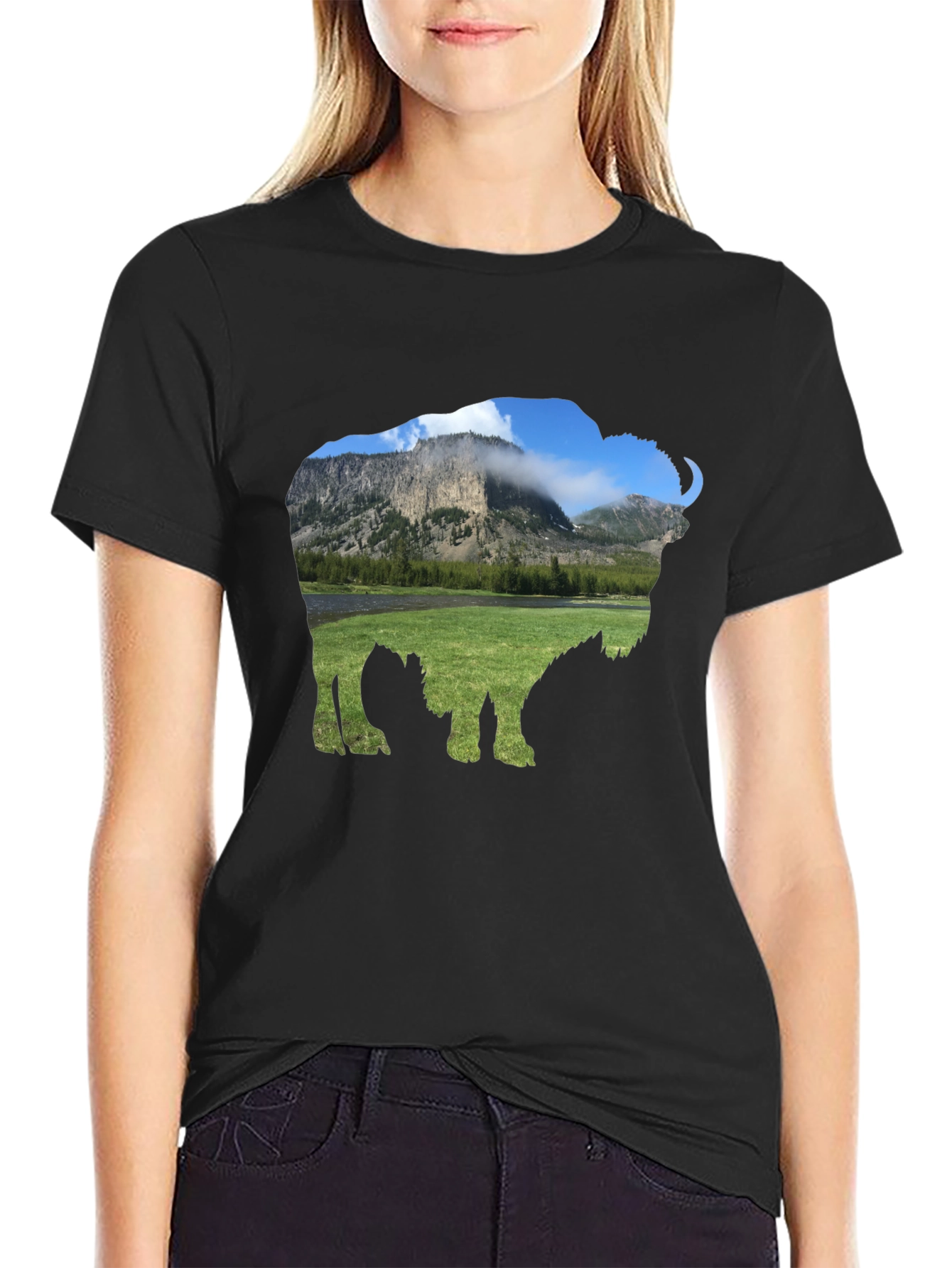 Bison Landscape Graphic Tee