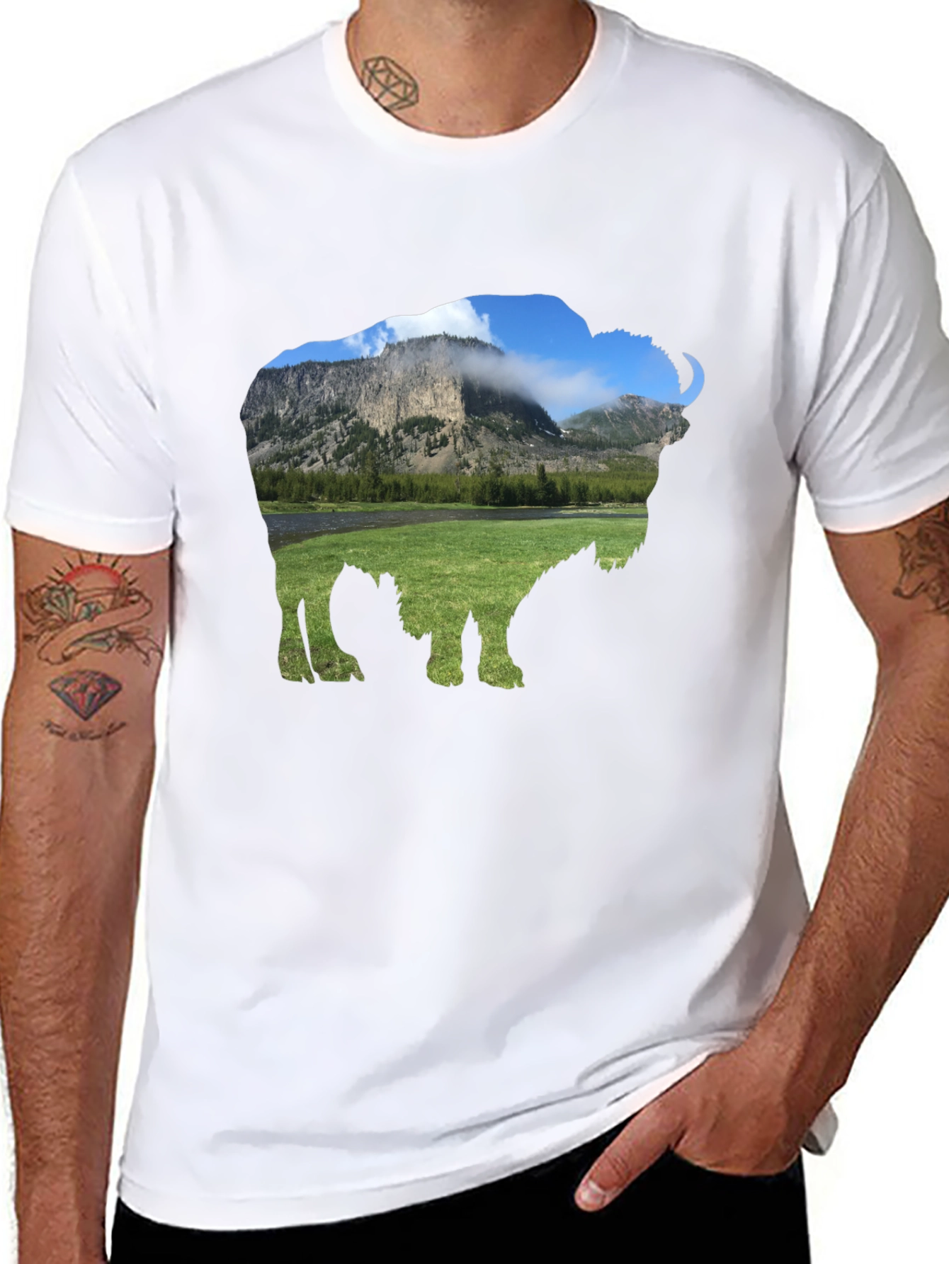 Bison Landscape Graphic Tee