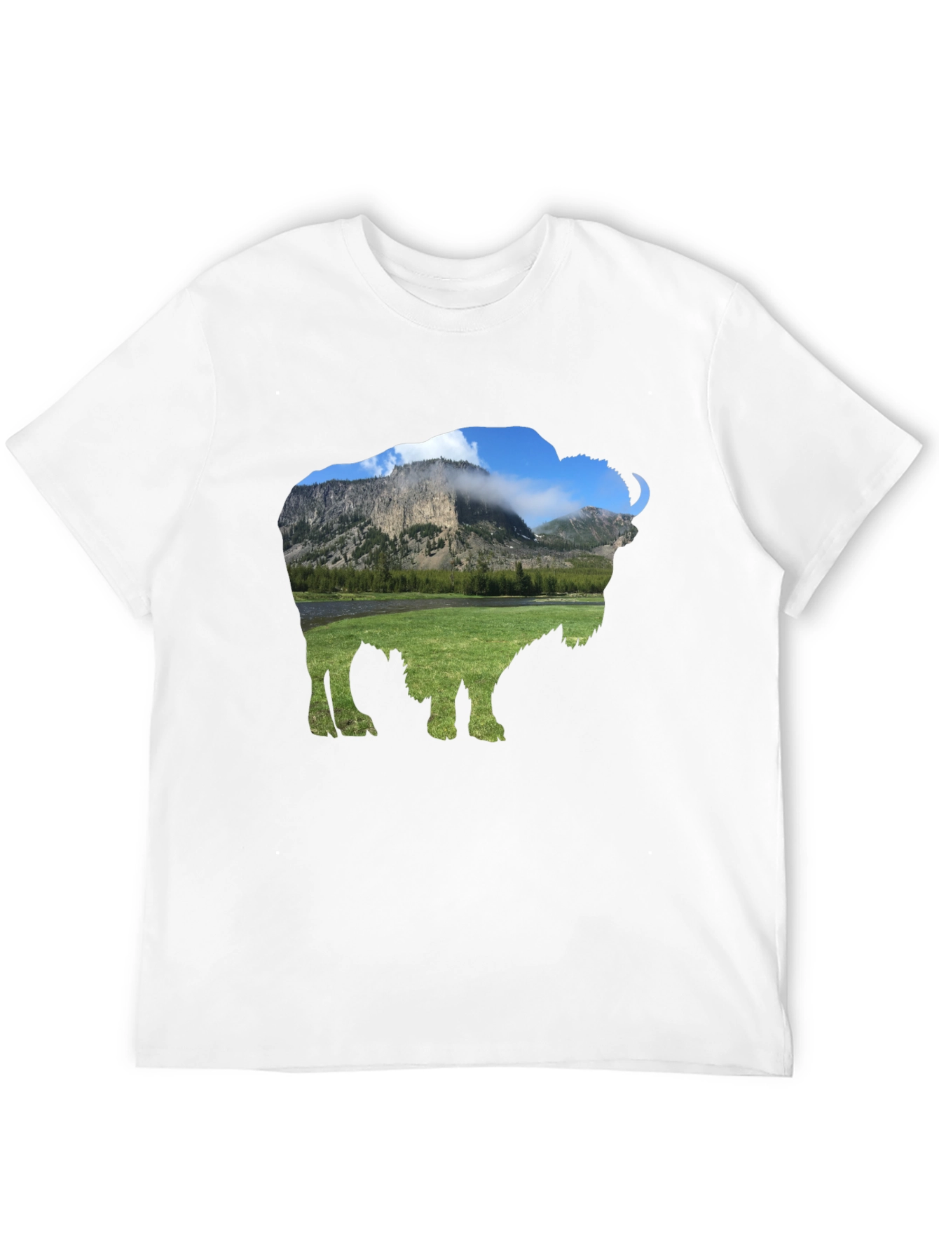 Bison Landscape Graphic Tee