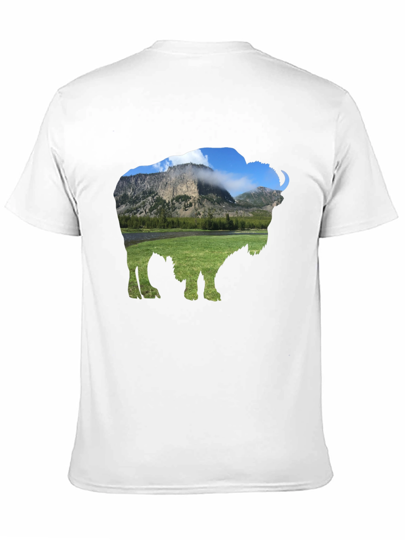 Bison Landscape Graphic Tee