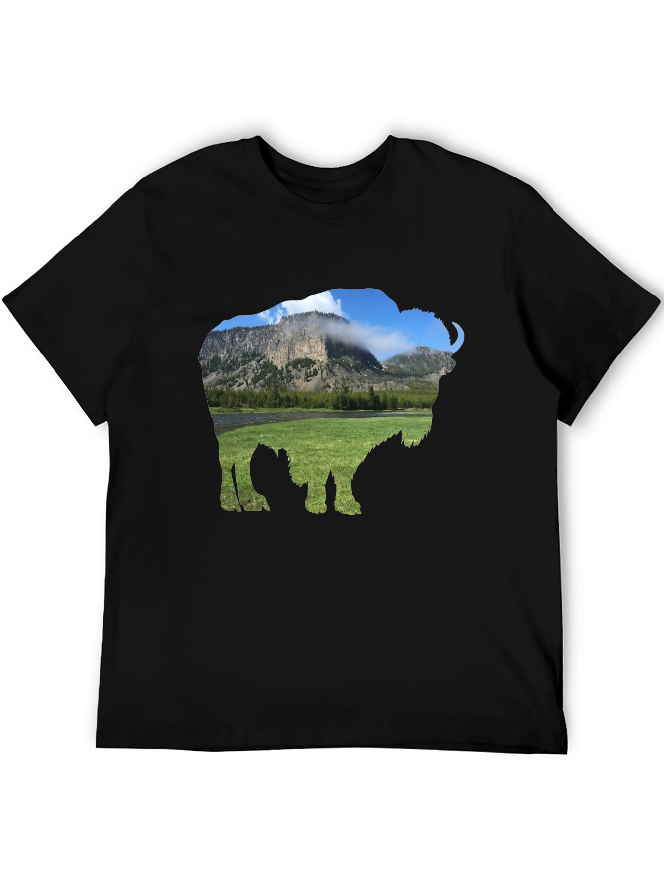 Bison Landscape Graphic Tee