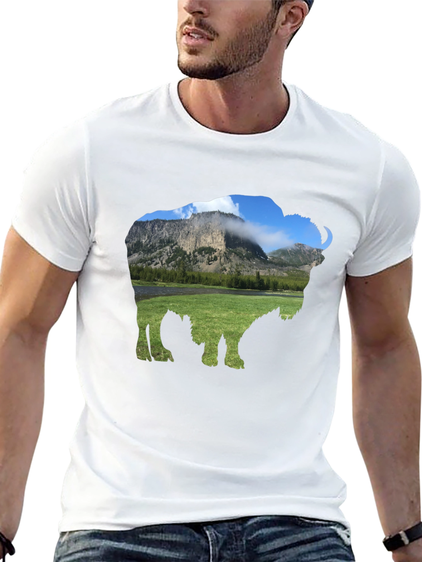 Bison Landscape Graphic Tee