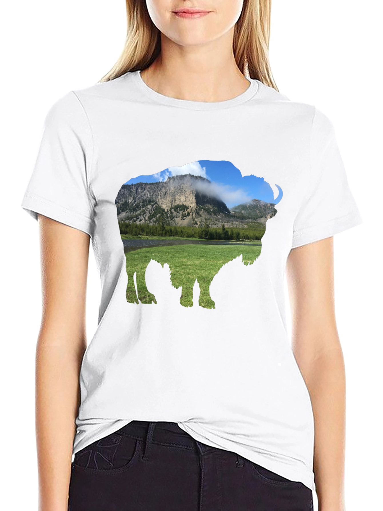 Bison Landscape Graphic Tee