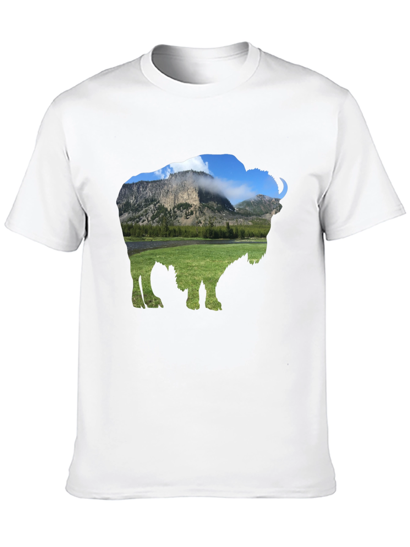 Bison Landscape Graphic Tee