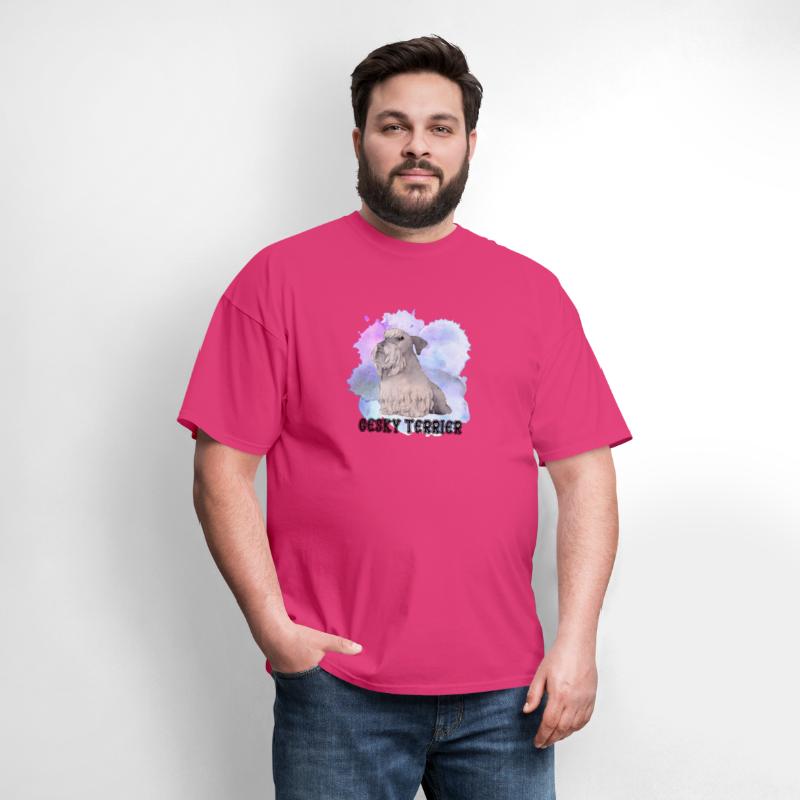 I'M Falling In Love With Cesky Terrier