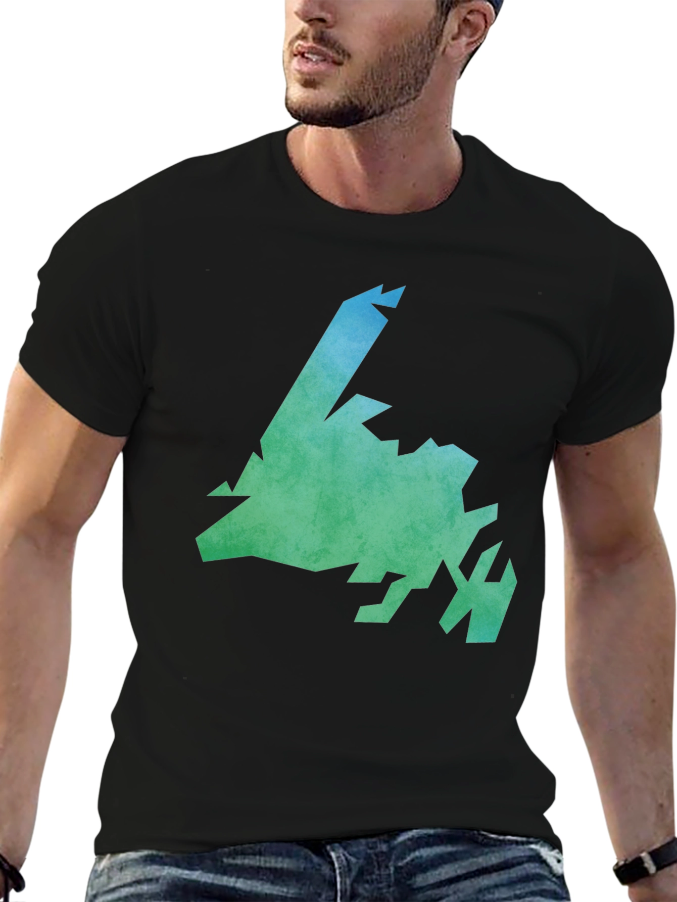 Newfoundland & Labrador Graphic Tee - Black