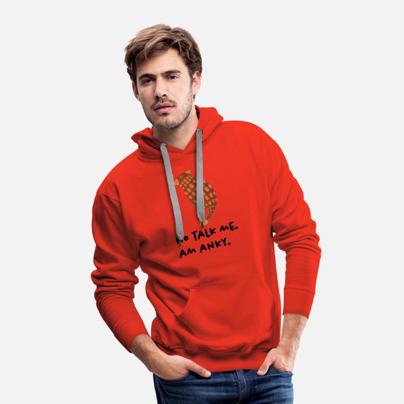 NO TALK ME. AM ANKY.