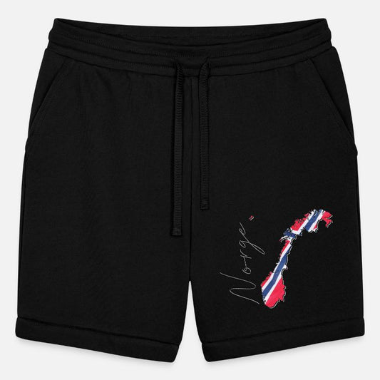 Norway Flag in Norway Map NO