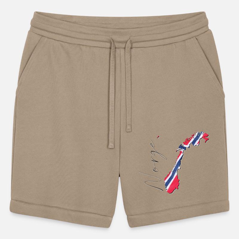 Norway Flag in Norway Map NO