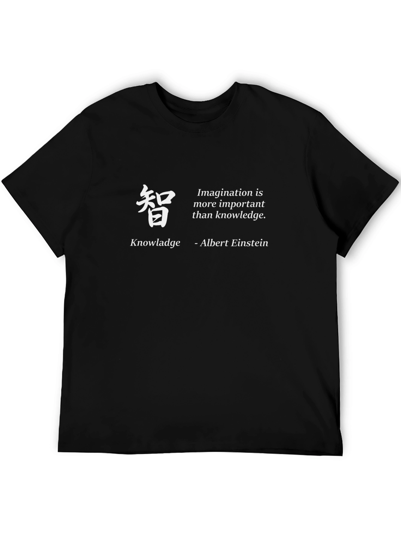 Imagination Knowledge Einstein Quote T-Shirt