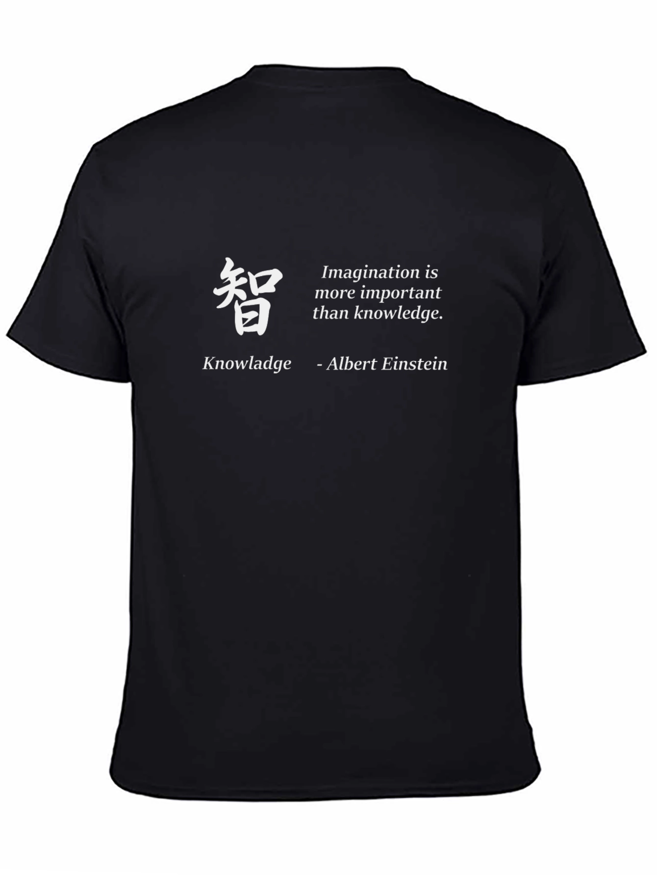 Imagination Knowledge Einstein Quote T-Shirt