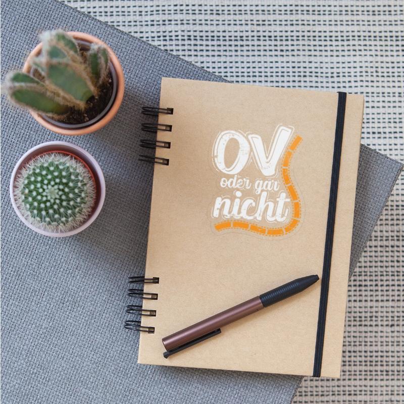 OV or not Translation Movies Language