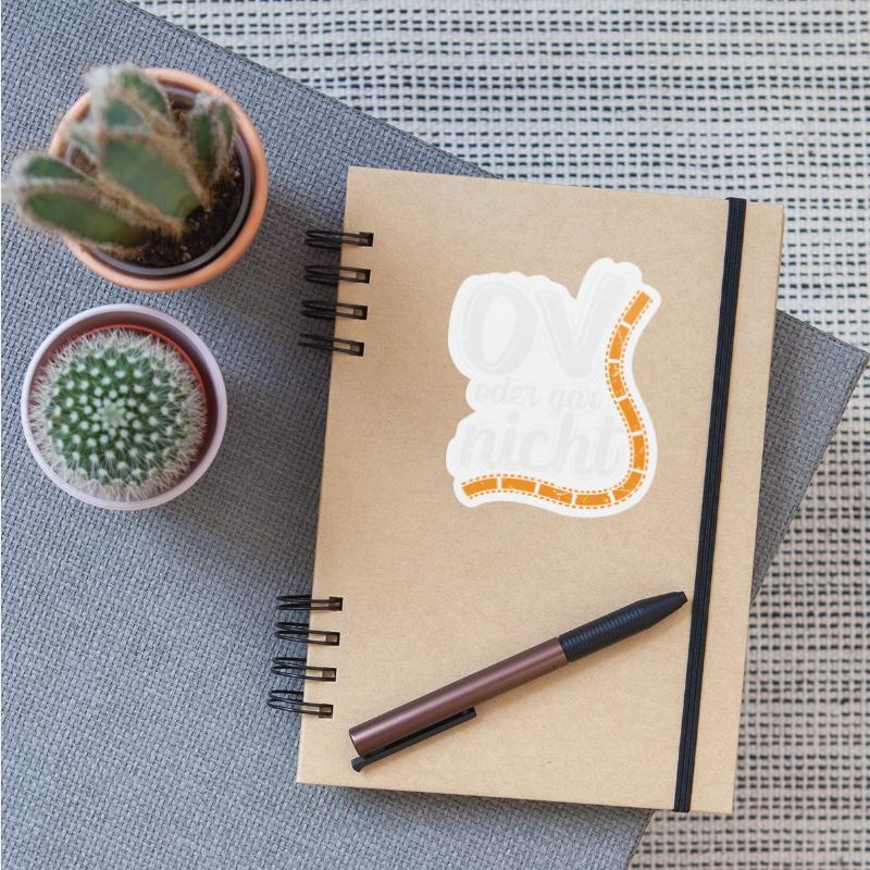 OV or not Translation Movies Language