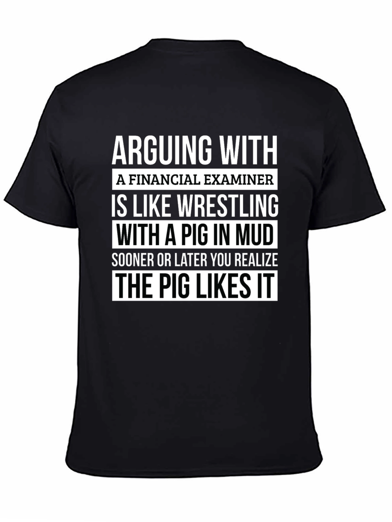 Financial Examiner Pig T-Shirt Funny Gift