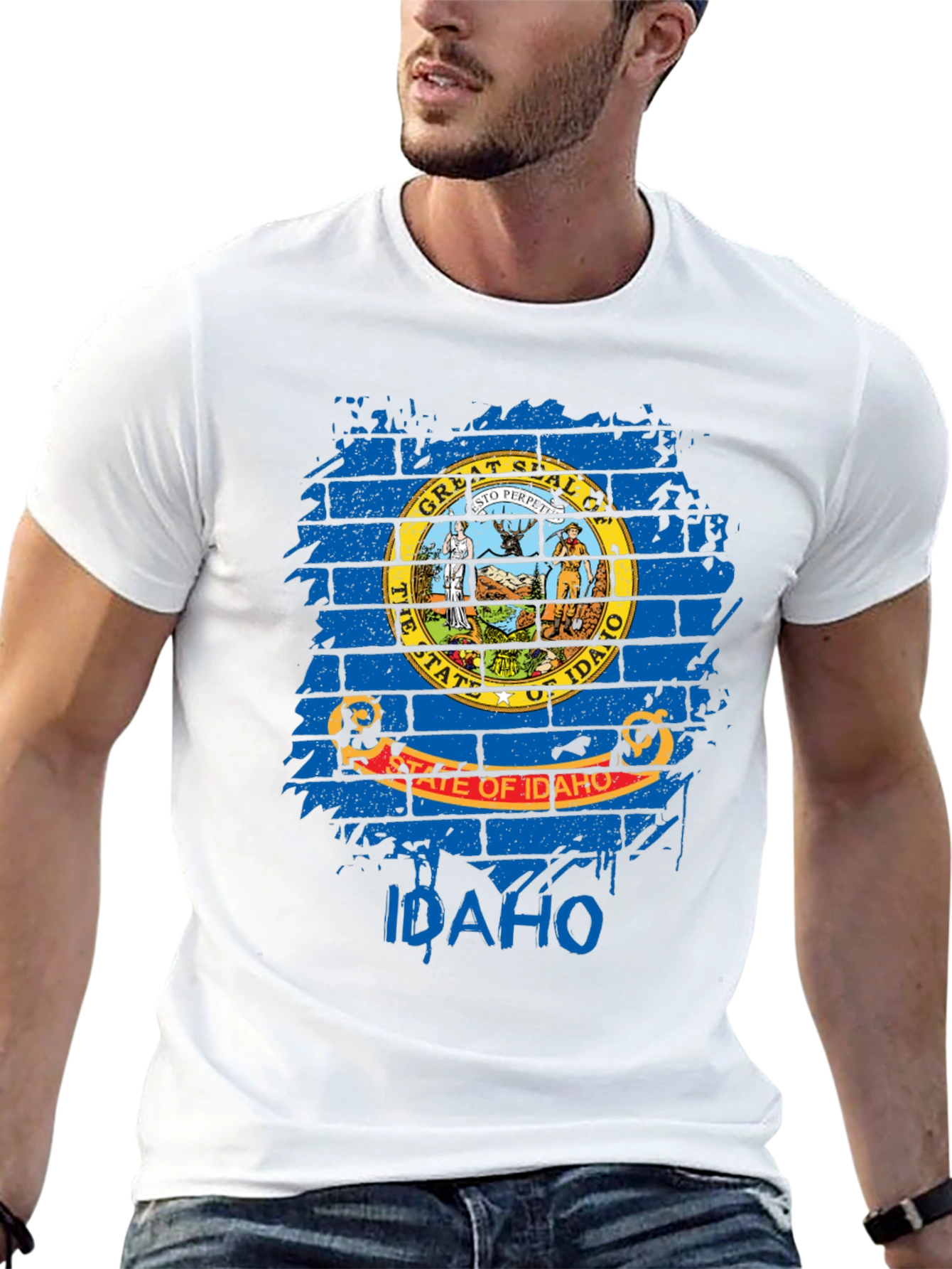 Idaho State Flag T-Shirt