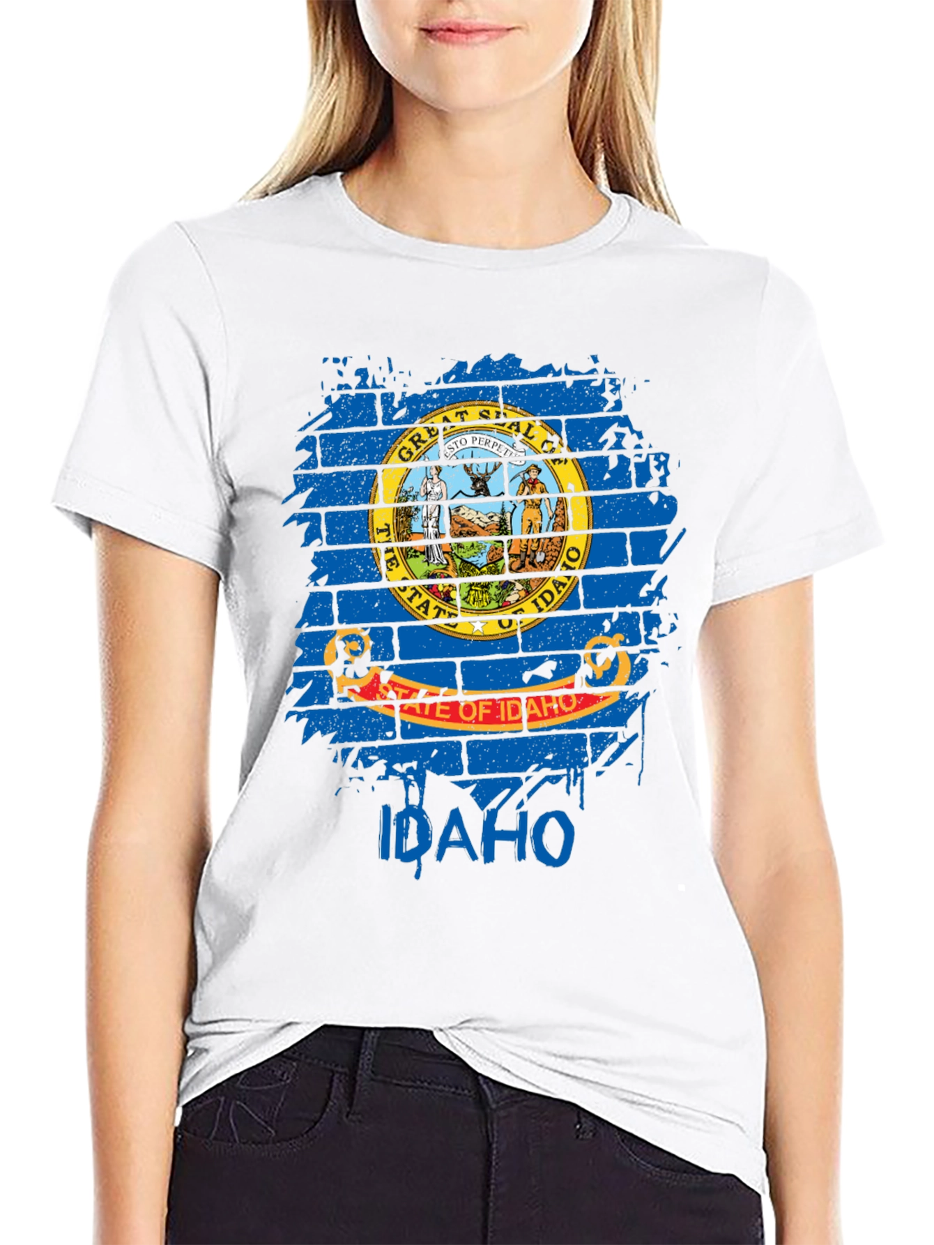 Idaho State Flag T-Shirt