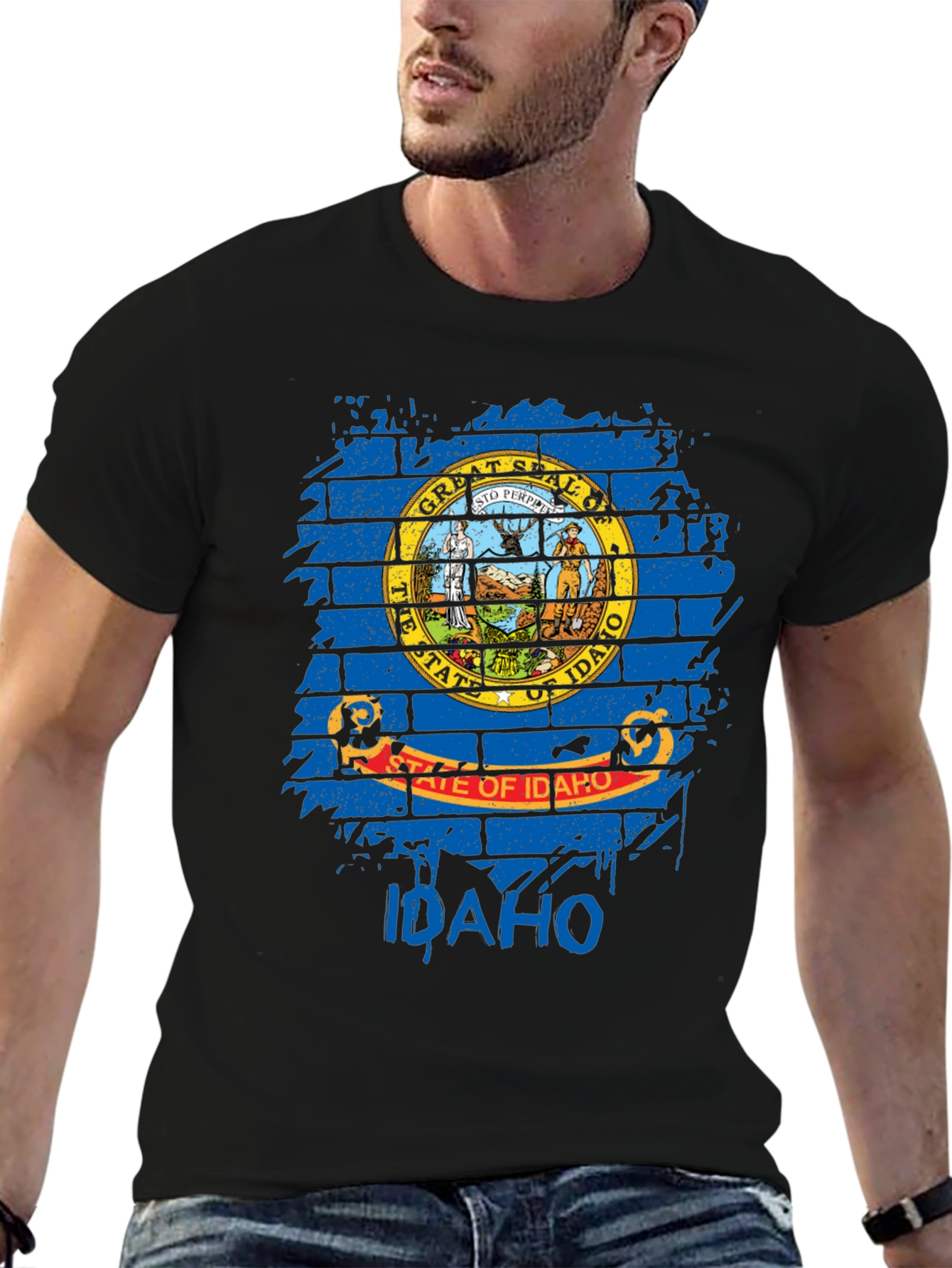 Idaho State Flag T-Shirt