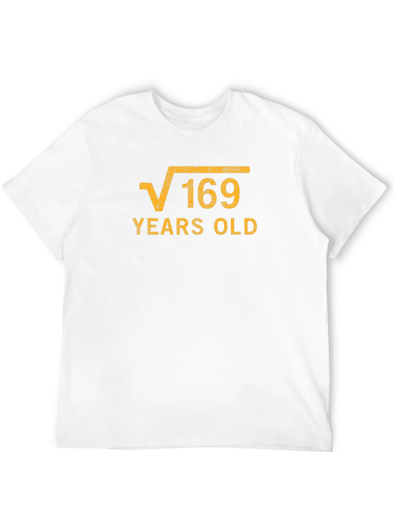 Funny 13th Birthday Square Root of 169 T-Shirt