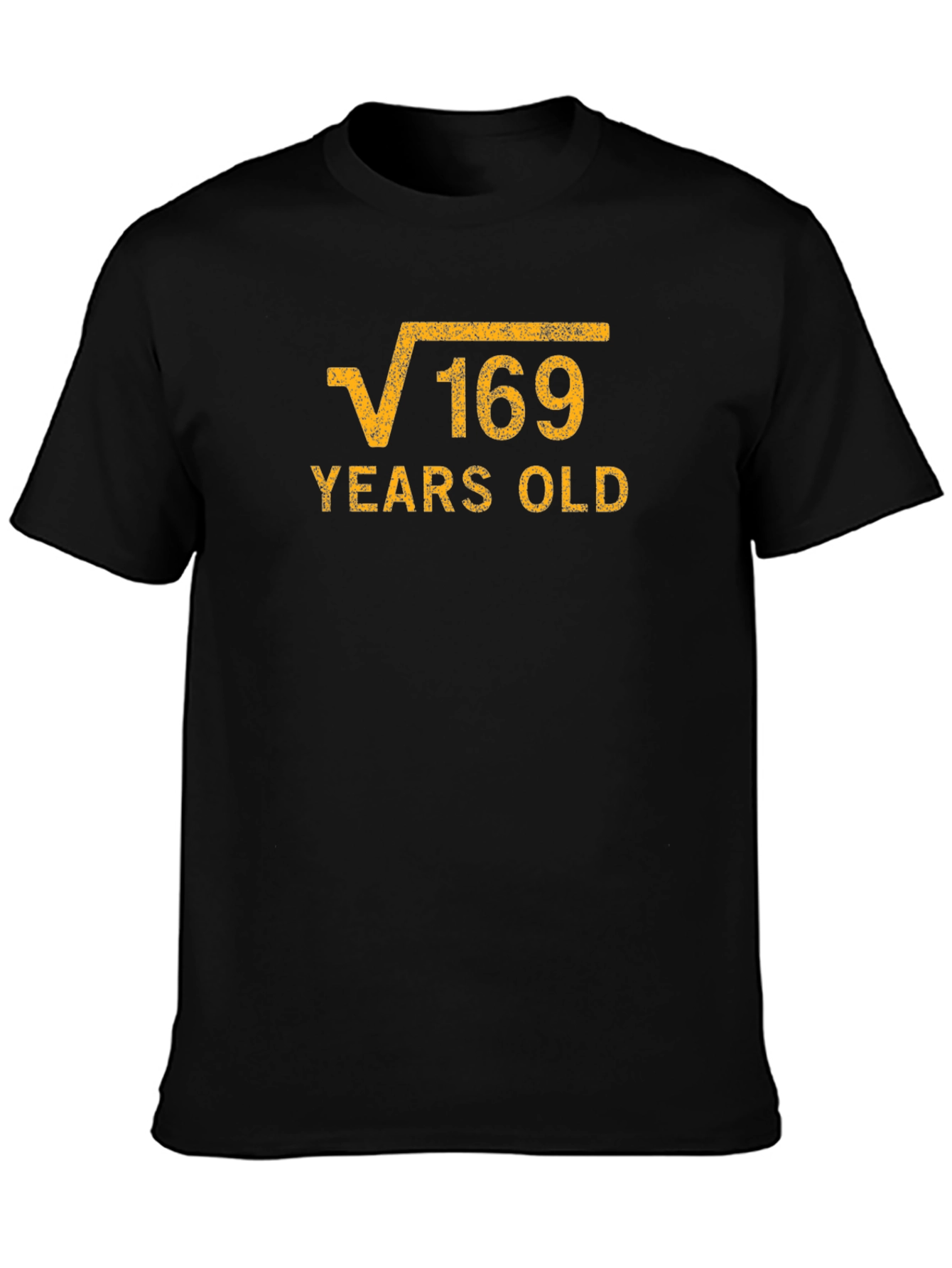 Funny 13th Birthday Square Root of 169 T-Shirt