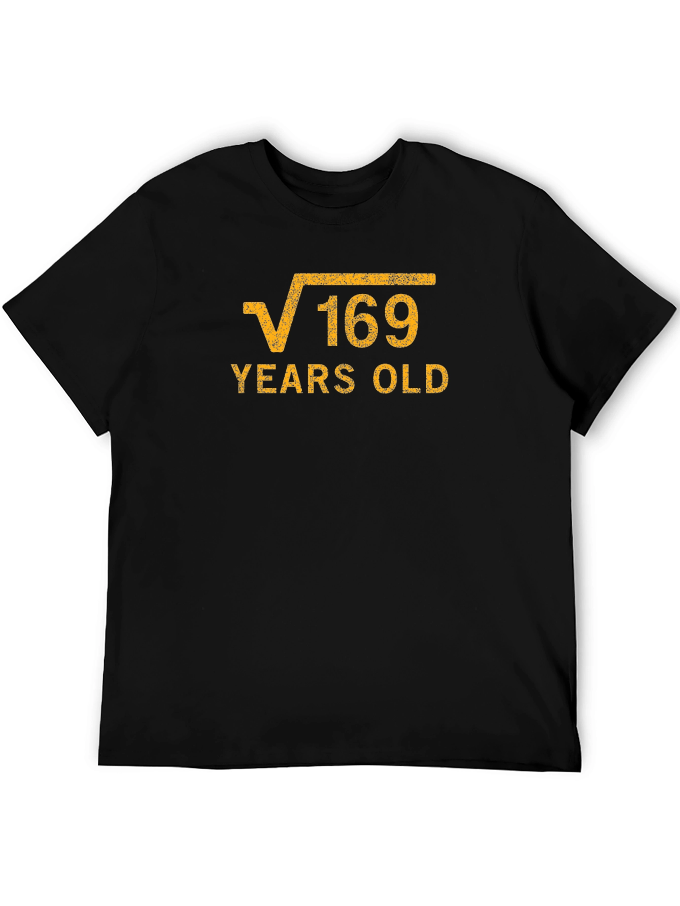 Funny 13th Birthday Square Root of 169 T-Shirt