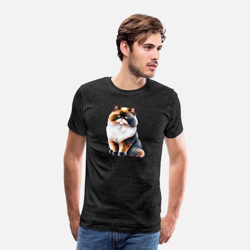 Persian Cat - Black, White, and Orange