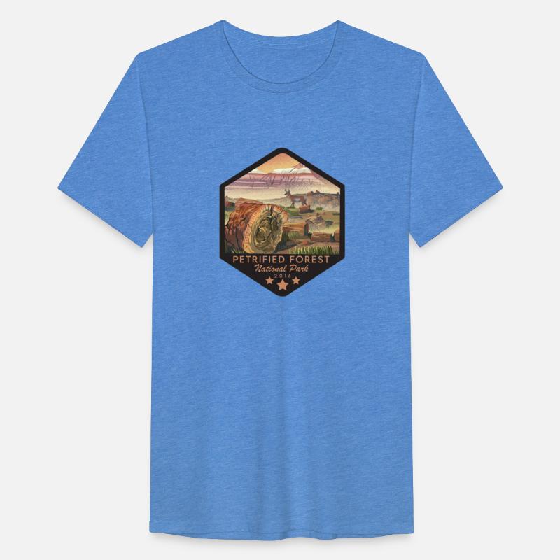 petrified forest national park