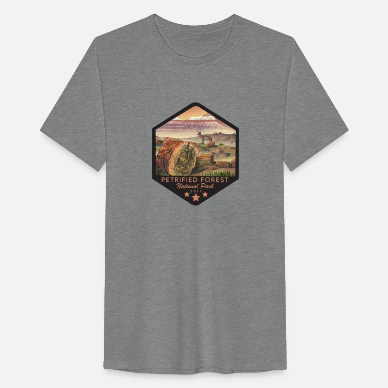 petrified forest national park