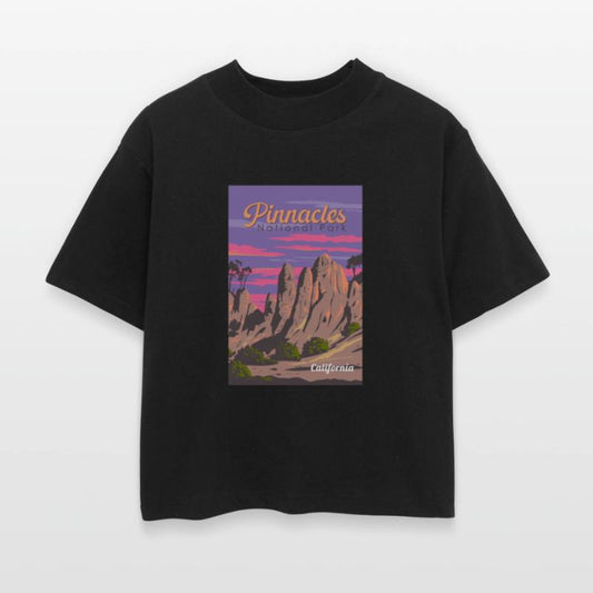 Pinnacles National Park Illustration Travel Art Vi