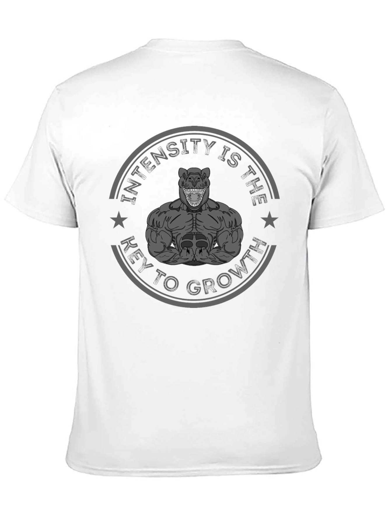 Intensity is Key Mens Graphic T-Shirt