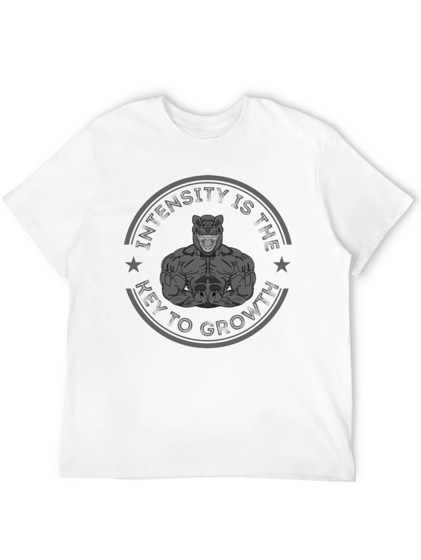 Intensity is Key Mens Graphic T-Shirt